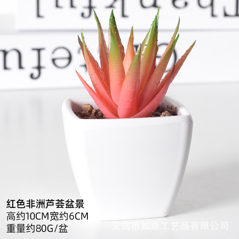 Simulación de plástico carnoso bonsai flor falsa combinación oficina interior escritorio plantas verdes pequeños adornos plantas artificiales al por mayor image 16