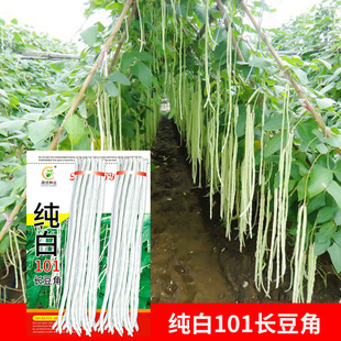 ���l�ˈ@�߲˷N�Ӽ����L����10���ļ������̨Ժ�ӷN�ӏS�ҹ���