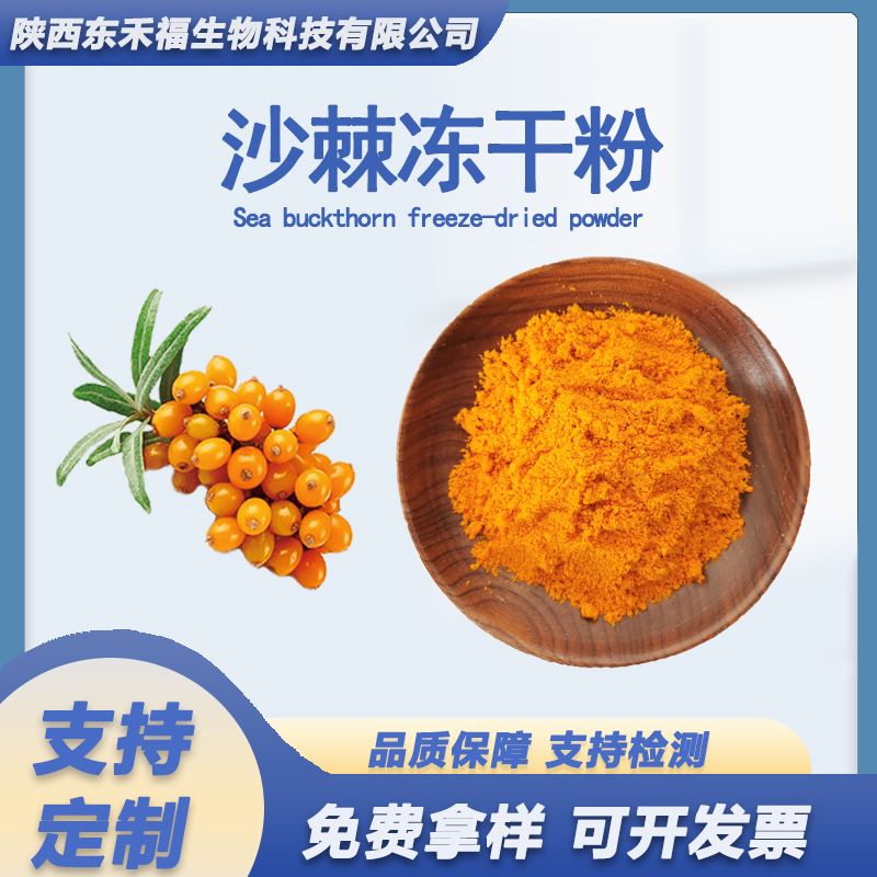 沙棘冻干粉沙棘提取物 新疆纯沙棘粉固体饮料 全果冻沙棘果粉现货