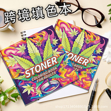 2025�������L�Tɫ����ɫ���L�������Tɫ����ġ�������T�f�D����