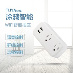 Wifiソケットスマートソケット美規ダブルusbソケット音声制御携帯電話appリモートタイミングスイッチに対応