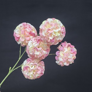 �¿�5�^���\����潑�����l��Y�û��Ų廨���޽�������Ĕz����