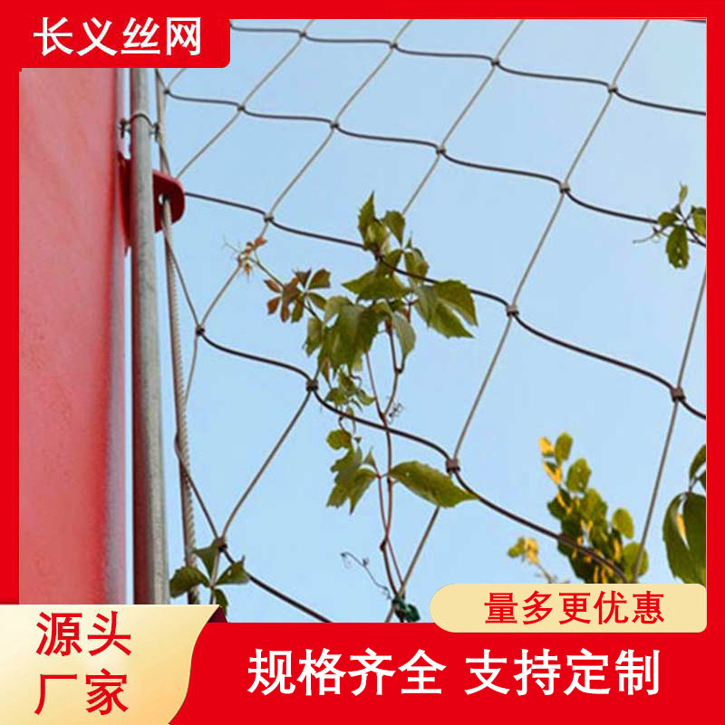 植物攀爬不锈钢绳网  钢丝网 柔性钢丝绳网厂家 爬墙网