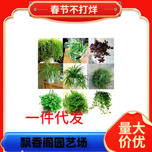 һ�����l���������Դ����m��������ȩ�҃��̨�Ғ�ˮ��G�Gֲ