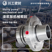 不锈钢316材质双端面机械密封H7 100SAZF206-120-50机封型号