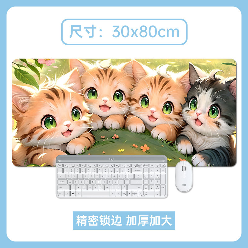 새끼 고양이 4 마리