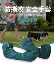 ��ҧ���׌���Ӗ��Ȯҧ���Ӻ��Lץ���R���{���}��؈��ϴ���ץ��ĥ