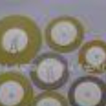 IC波涛新电子元件厂 供音乐芯片上用的蜂鸣片--35MM铜基发声元件