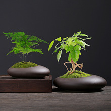 �͹���ɰ�����m�G�}����lؔ������m���m��ʽ�辰�Gֲ��������