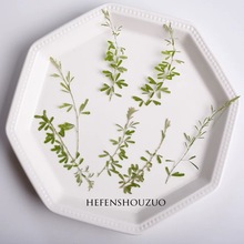 ��֦ҹ�P�T�ɻ�ֲ����z���|diy�ֹ����Ҿ��b�insС�����֙C��