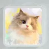 Colorful Cat Crystal