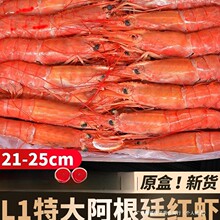 ����͢�t�rl1��t�r�M�ڳ��ش���������r������rˮ�a�����r���r