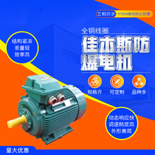 佳木斯电机YFBX4系列高效率粉尘防爆三相异步电动机（H80～H355）