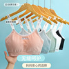 girl Bras Underwear vest Developmental stage junior middle school student high school Adolescence Bra 13 year 15 Year-old girl 12