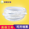 220V Traverse light belt 120 High brightness Atmosphere Light tank Bend Flexible modelling waterproof Linear Light belt