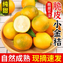 �V����Ƥ������r����ˮ�����������۱�����һ�����l