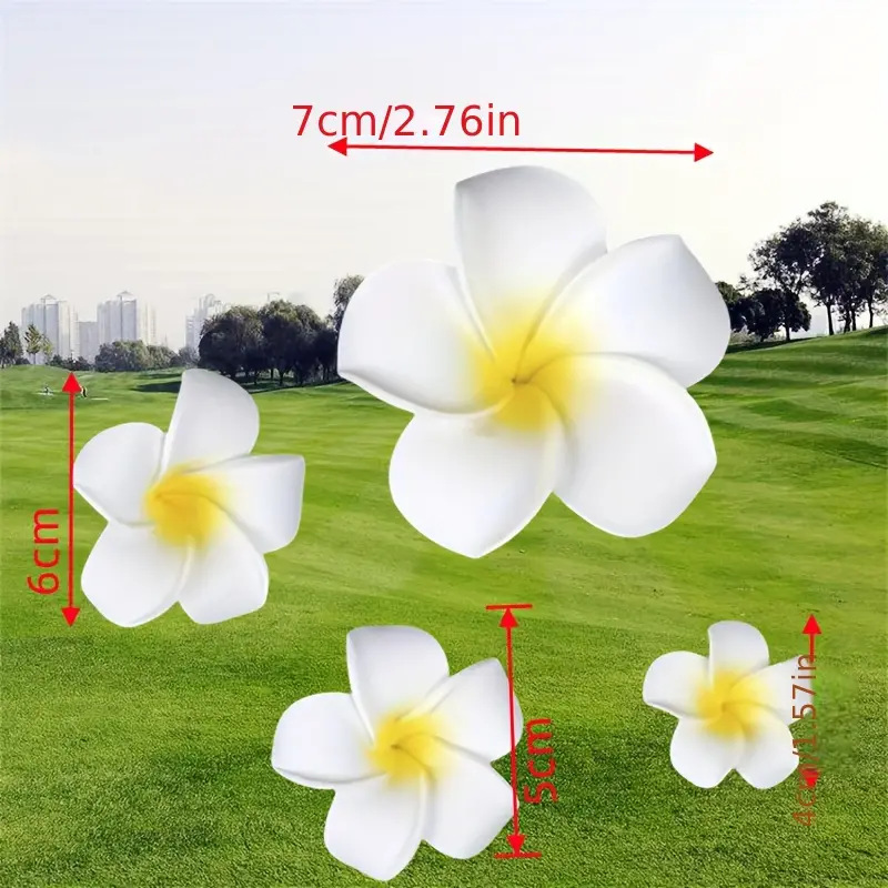 微信图片_20240313080842