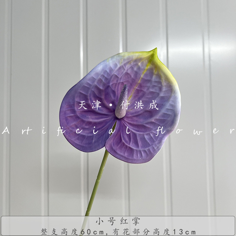 작은 보라색 야자