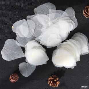 ֲ����Ȼ�����~ �����~�}�~�������~�ɻ��~�j�͌W���ώ�����