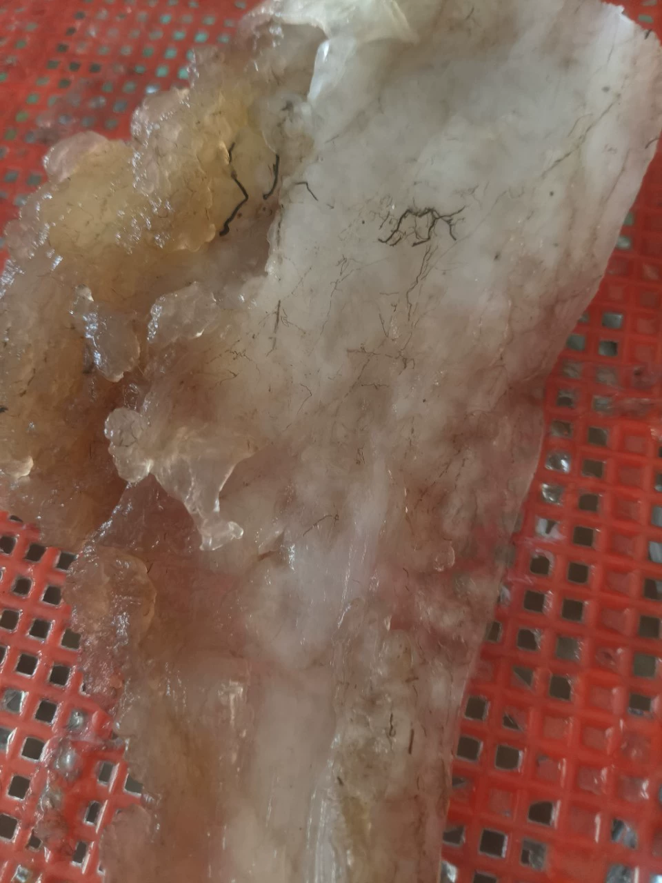 Оптовая консультация по мясу Тай Суй Ганодерма. Специальная цена. Мясо Ганодермы, найденное в дикой природе.