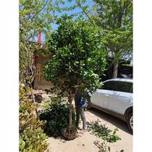 �𻨘������ļ�����ͻ��ܰ���ͥԺԭ���ߗU����̨�w���������