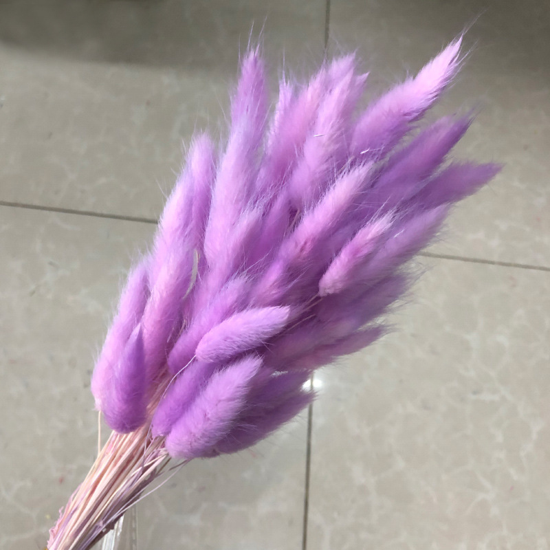 타로 보라색 토끼꼬리 60개입