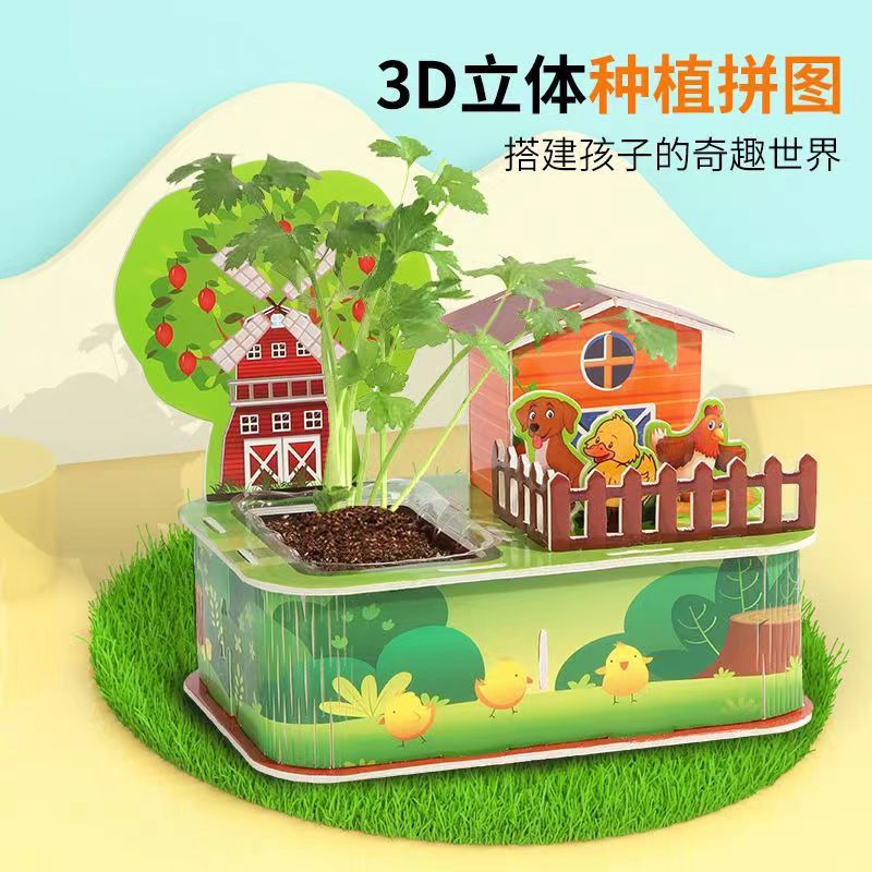 Una mini plantación de sol casa jardín botánico granja plantación de flores ecológica lección de biología científica juguete experimental
