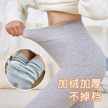 2400D秋冬加绒加厚竖条连裤袜细条纹一体棉打底袜紧身显瘦打底裤