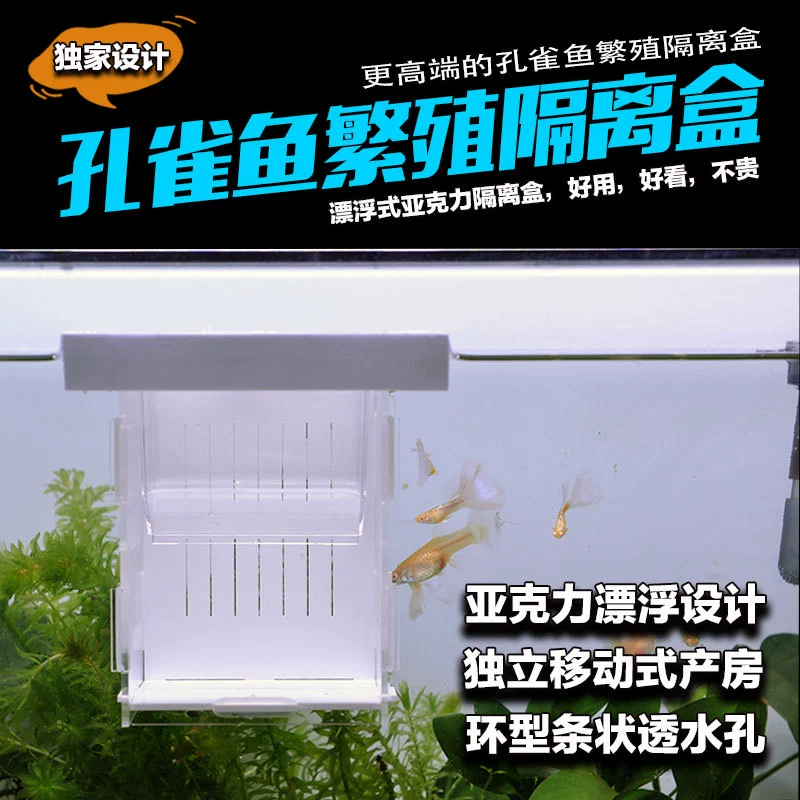 Акриловый плавающий изоляционный ящик для маленьких тропических рыб Гуппи инкубатор комната для родов материнская рыба коробка для разведения