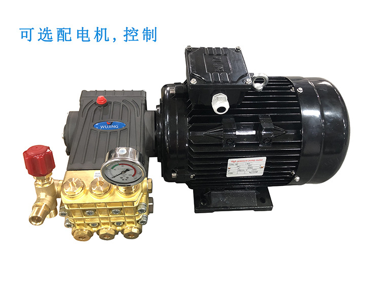 Mist Direct High-Pressure Plunger Pump and Motor Combination Industrial Spray Humidification Car Wash Cleaning Machine Cold Mist Forest