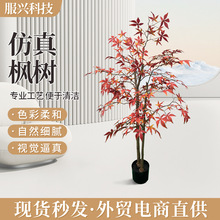 ����ֲ��t�����ԼҾ��b���ؔ[��������~�٘䙻���b��辰���l