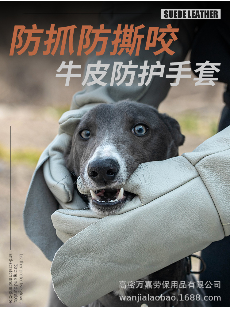 长图_02.jpg