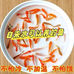 �\�a�~��ˮ�~С���~�~����B���~���~���~�^�p�~�t���~����~