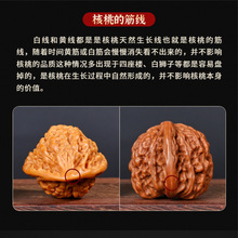 文玩秋子核桃】_文玩秋子核桃品牌/图片/价格_文玩秋子核桃批发_阿里巴巴