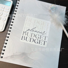 未注明日期的12个月预算计划Undated 12 Month Budget Planner