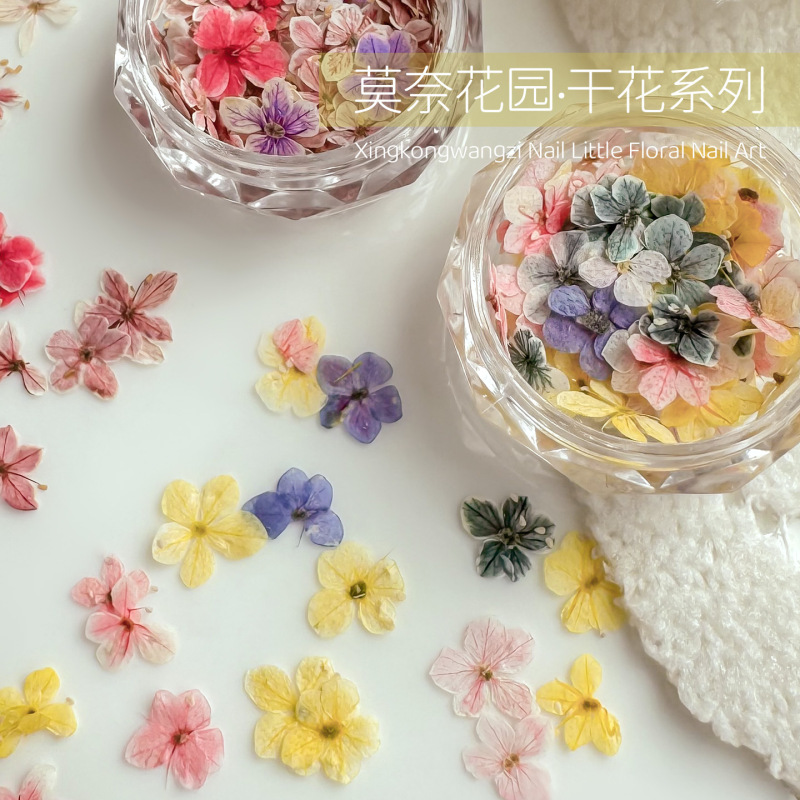 Monet Garden Oil Painting Color Scheme Five-Petal Flower Mixed DIY Materials Nail Decorations Wholesale Monet Garden Dried Flowers Monet Garden Oil Painting Color Scheme Five-Petal Flower Mixed DIY Materials Nail Decorations Wholesale Monet Garden Dried Flowers