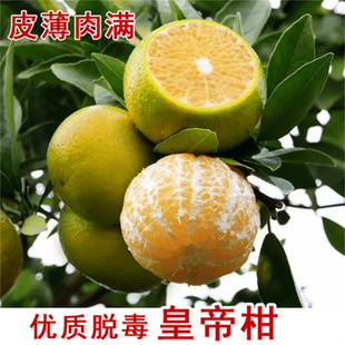 ���S�۽���޽ӻʵ۸����Ә��箔��Y���������Խ��Ә��ϱ����Nֲ