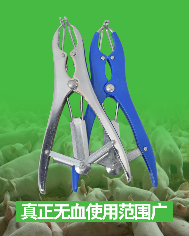详情1_11.jpg