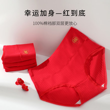 本命年红色内裤女A类纯棉抗菌女士三角短裤女生新年结婚少女裤头