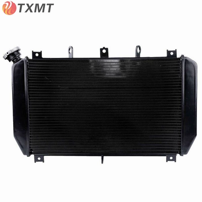 Suitable for Kawasaki Z900 17-18-19-20-21 Z900 motorcycle water tank radiator assembly cooling (Water tank)