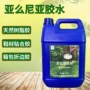 天然布料皮革手套亚么尼亚胶