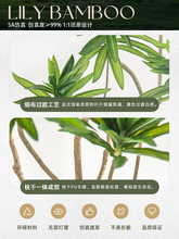 ٺֲpݿ͏dؔ[҃bٻGֲ