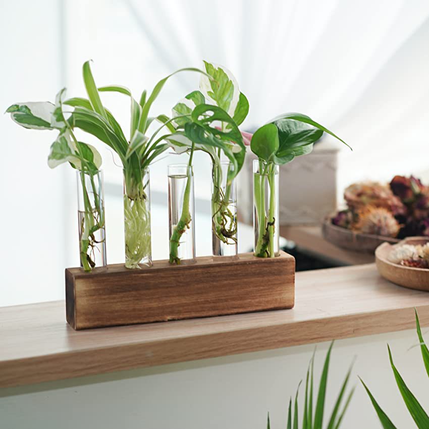 media._SL850_ (1).jpeg