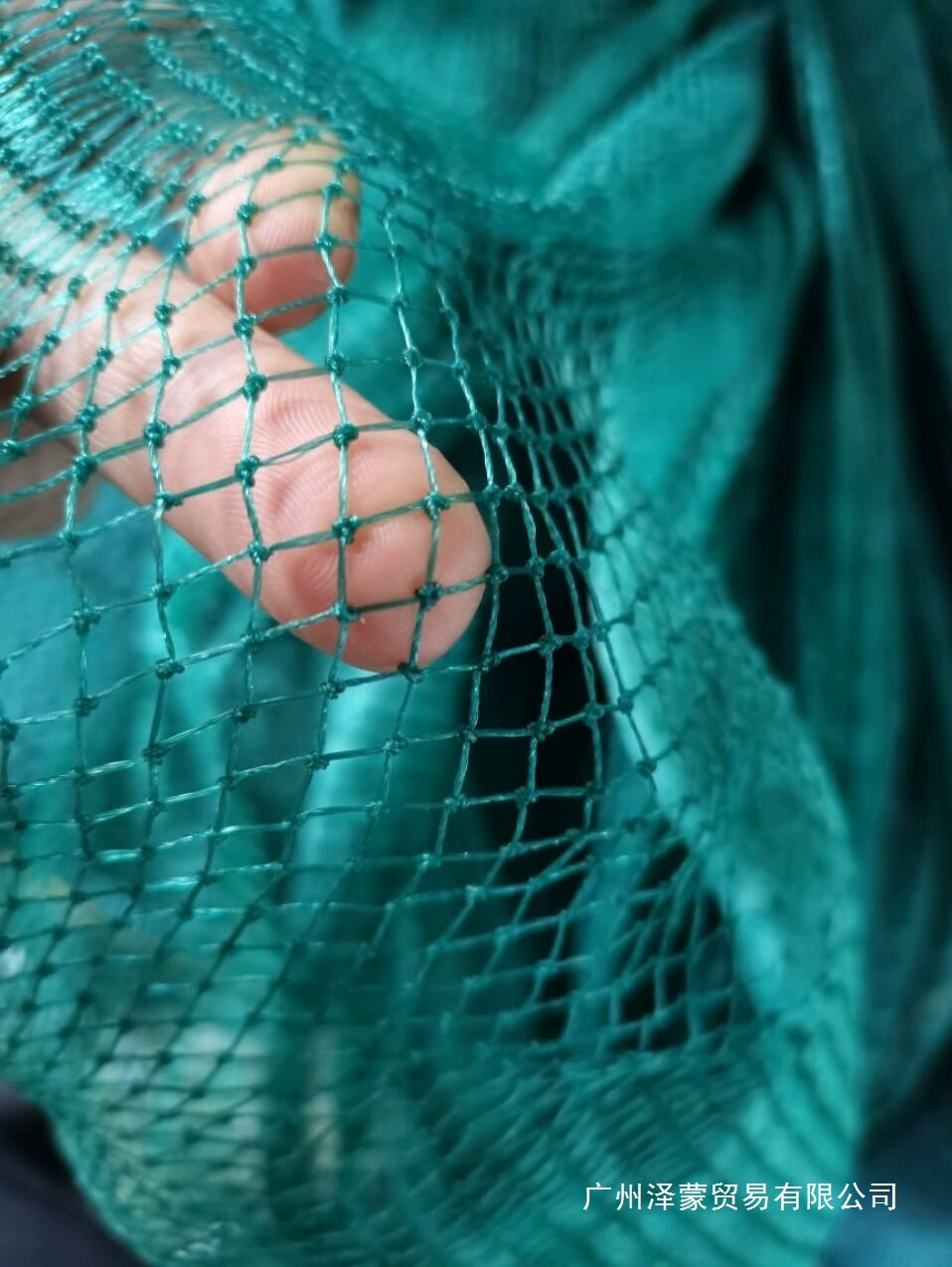 Рыболовная сеть, полиэтиленовая сетка, забор, рыболовная сеть, узловая сетка, рыболовная сеть, коробка, сетка для разведения, перегородка для пруда, рыболовная сетка, сетка