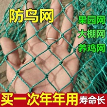 新料果园防鸟网大棚防鸟樱桃蓝莓草莓葡萄苹果梨树防鸟天网爬藤网