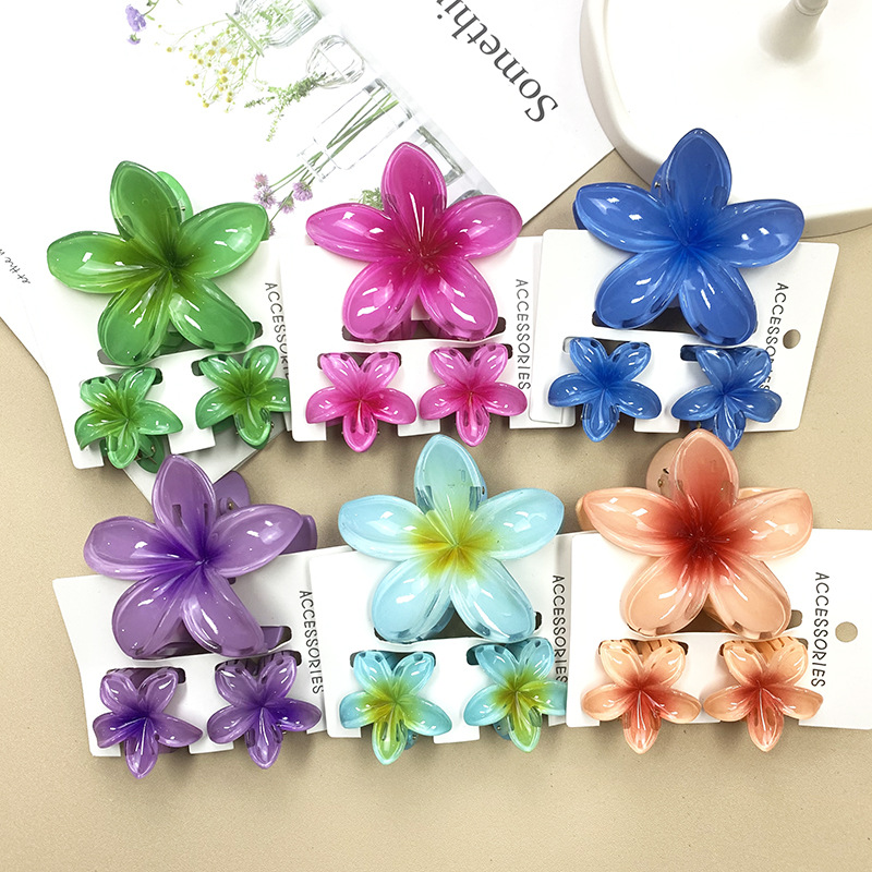 96g Weight Hair Claws Hair Accessories Type 1 Set Quantity Daily Occasion Plastic, Resin Material Plumeria Pattern All Seasons Season Women's Gender Stoving Varnish Design Cute Style Cute Women's Plumeria Plastic Resin Stoving Varnish Hair Claws 9