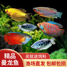 ���t���Ꭷ�^�p�~�{�����S������������~�����R�׻��w��̖��ˮ�~