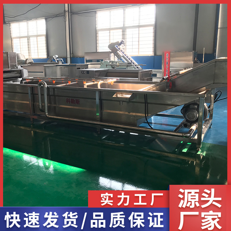 蔬菜水果气泡清洗机 喷淋式清洗设备洗萝卜机器 果蔬清洗设备
