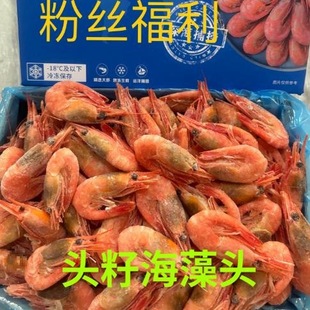 �����^������O���r�^�Ѹ��Ѽ��ô�����mҰ���������r���r