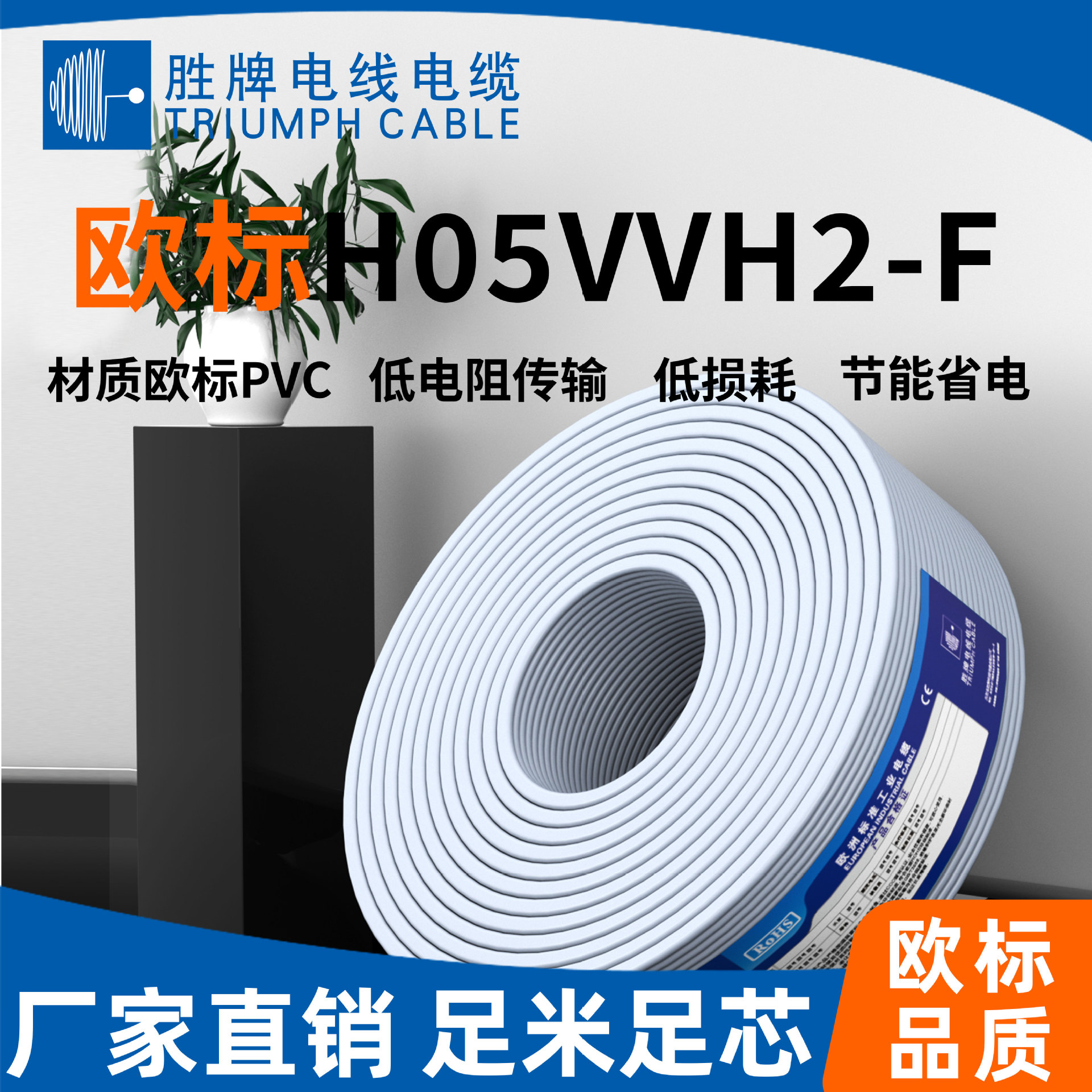 （有库存）胜牌电缆H03VVH2-F全铜电线扁线VDE认证护套线